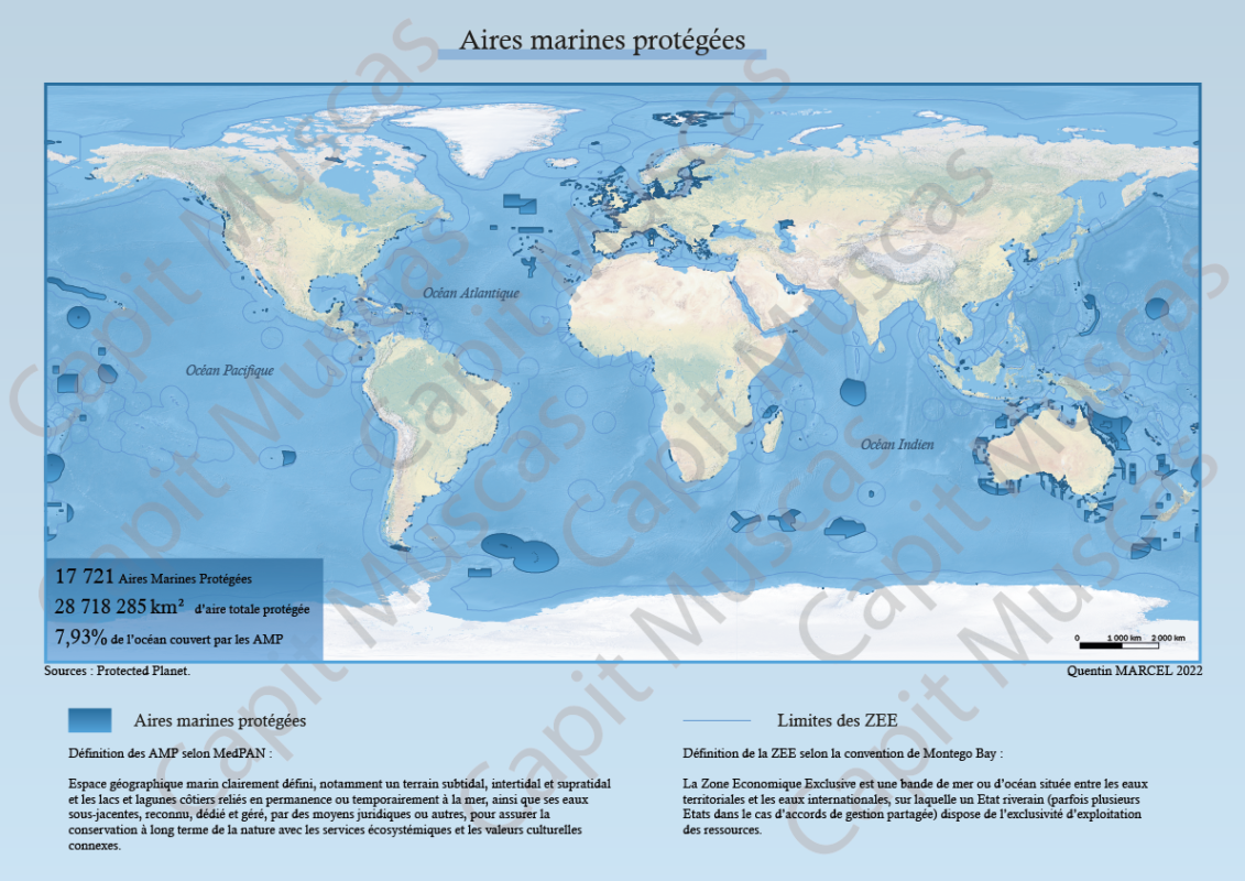 Cartes Des Aires Marines Protégées – Capit Muscas Éditions